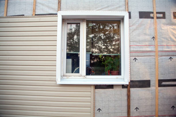 Best Hoarding Cleanup  in Hillsboro, MO