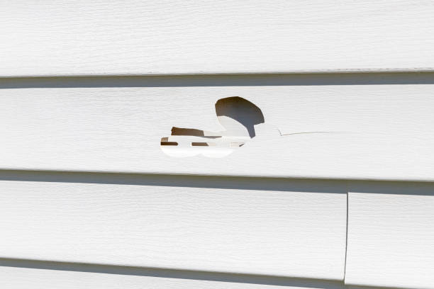  Hillsboro, MO Junk Removal Pros