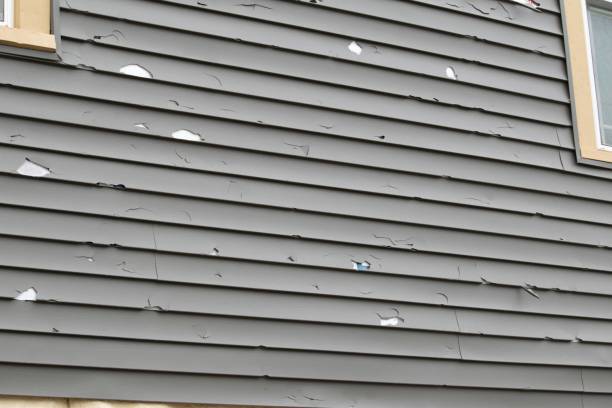 Best Property Management Cleanouts  in Hillsboro, MO